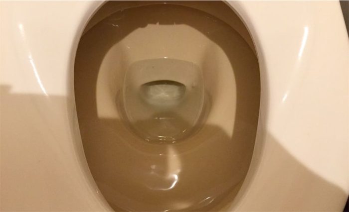トイレの便器