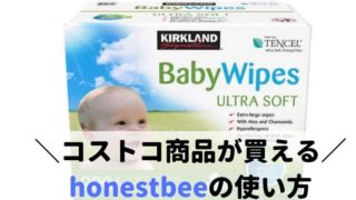 BabyWipe