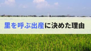 田んぼ