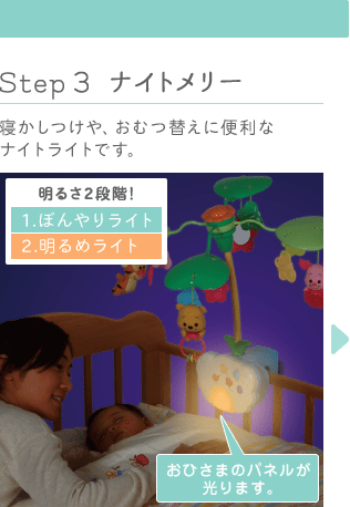 ナイトメリー