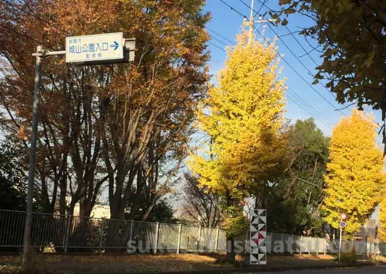 道路標識