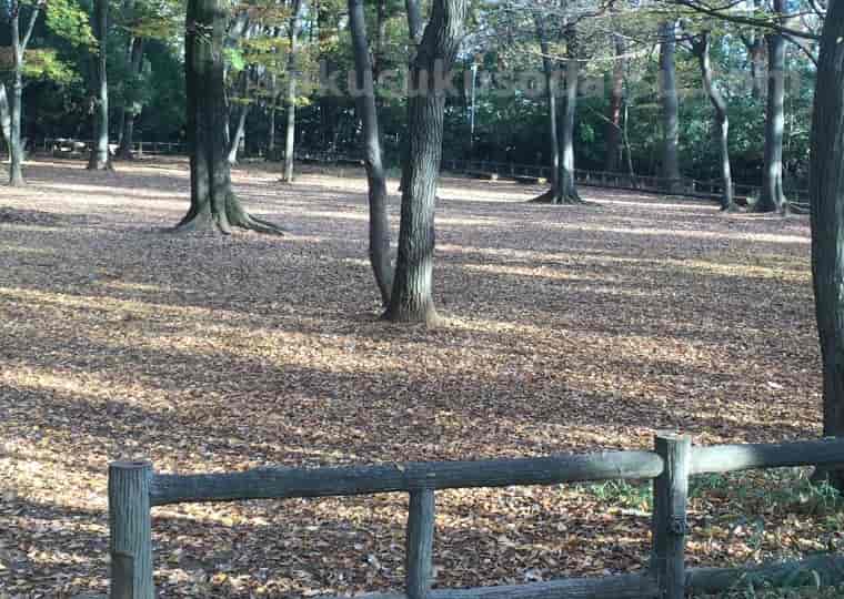 公園