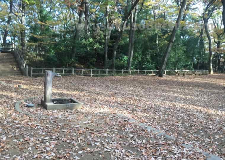 公園